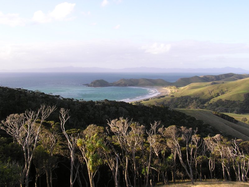 09apr2004_cape_colville_coromandel_peninsula